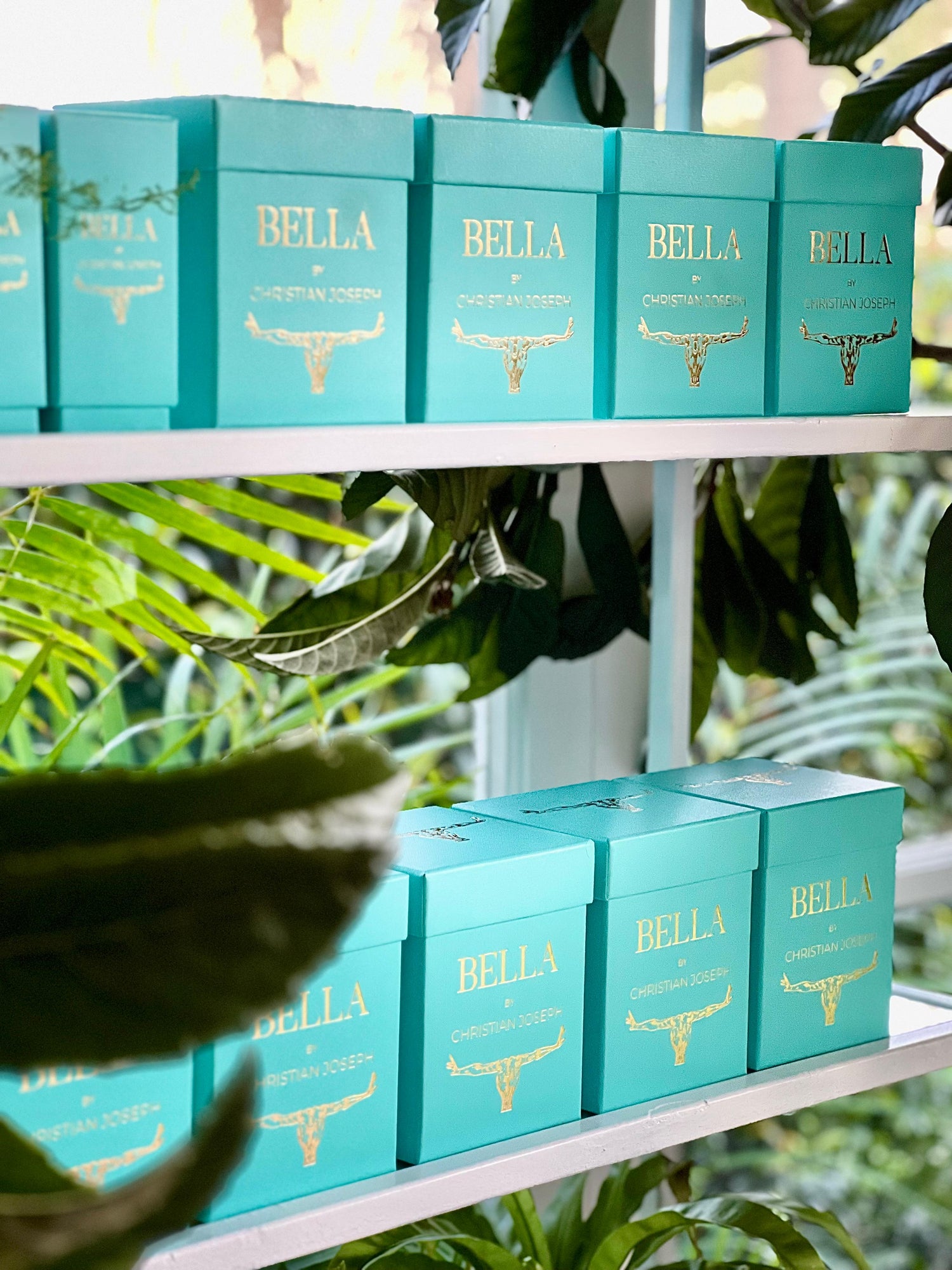 Christian Joseph – Luxury Space Fragrances.